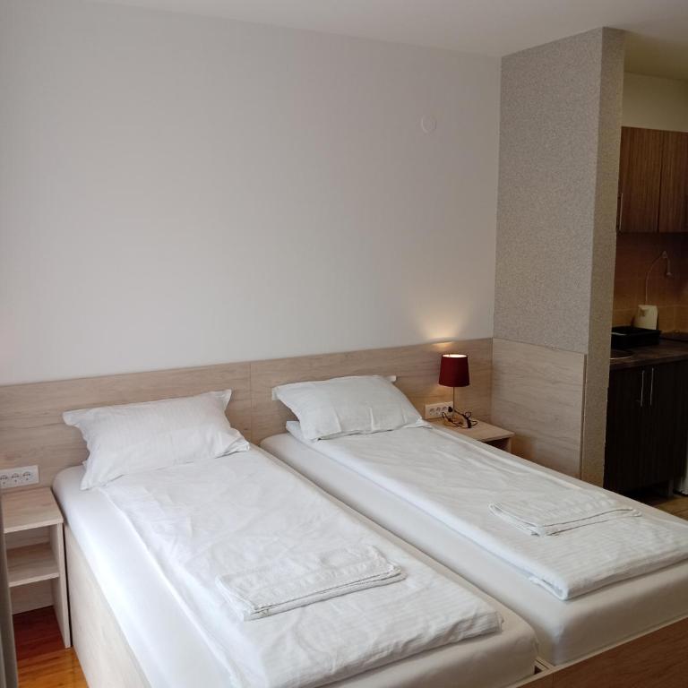 Apartment Atina - Deluxe Studio - 12