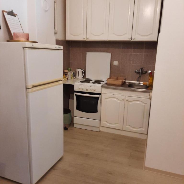 Flat in Belgrade city center, 45m2 - Apartman sa 1 Spavaćom Sobom - 11