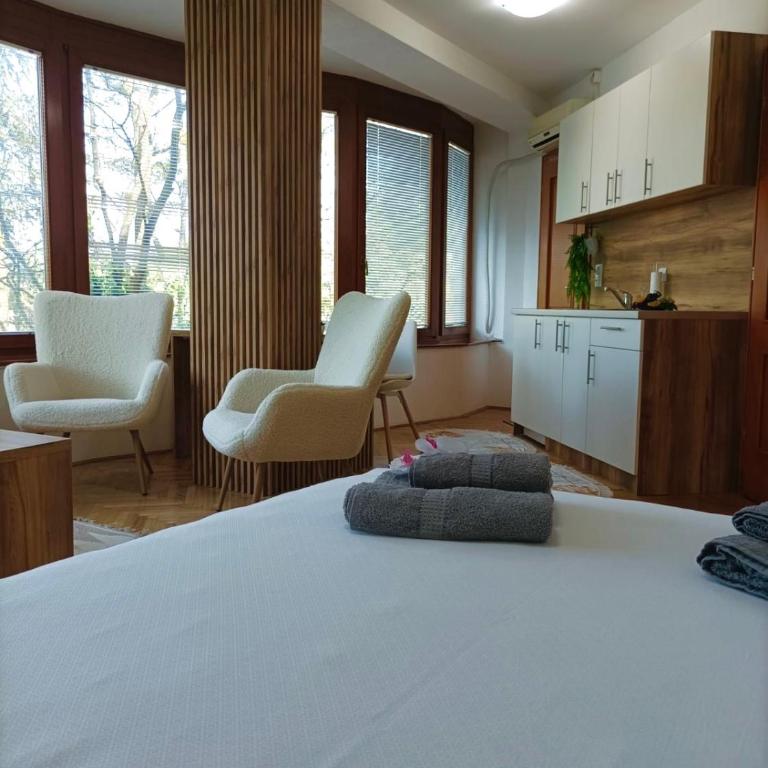 Apartman Rajska Banja - Apartman sa 1 Spavaćom Sobom - 3