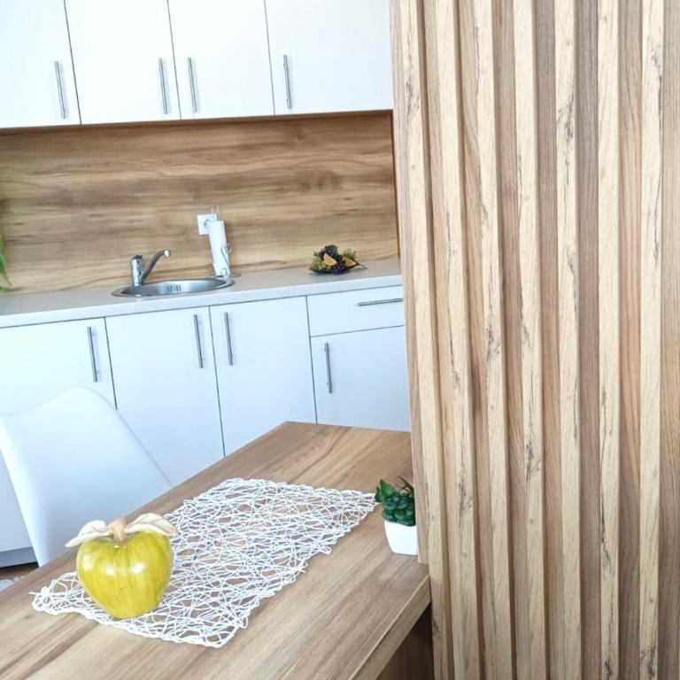 Apartman Rajska Banja - Apartman sa 1 Spavaćom Sobom - 9