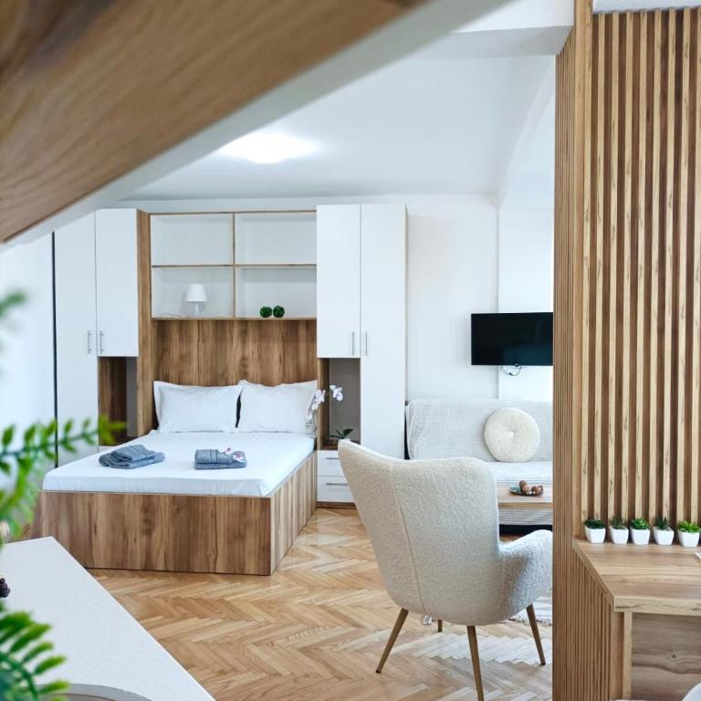 Apartman Rajska Banja - Apartman sa 1 Spavaćom Sobom - 1