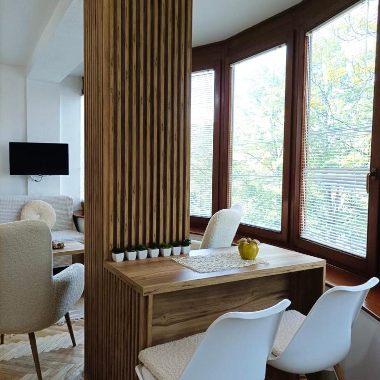 Apartman Rajska Banja - Apartman sa 1 Spavaćom Sobom - 4