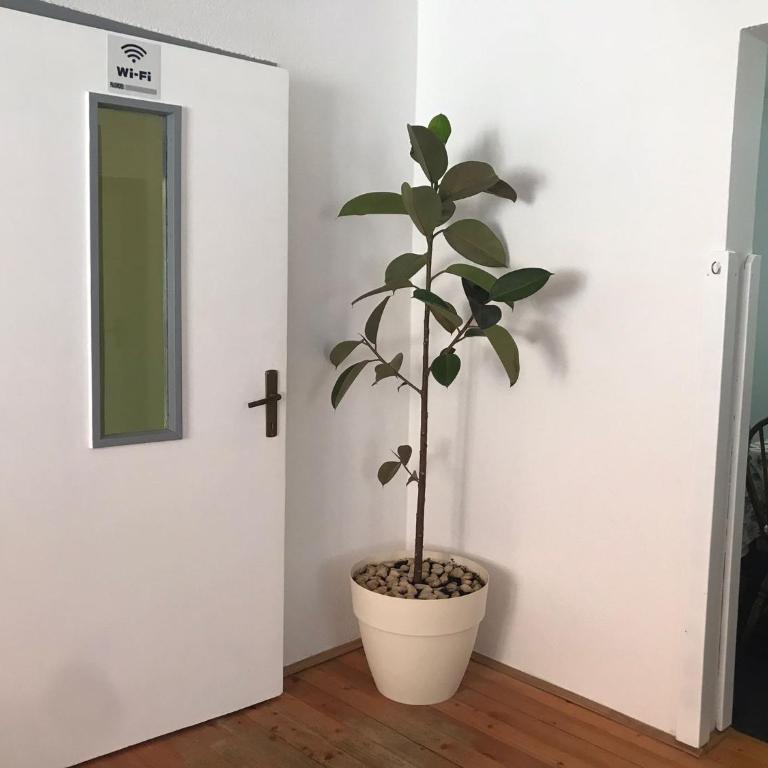 Apartman Mario - Apartman - 12