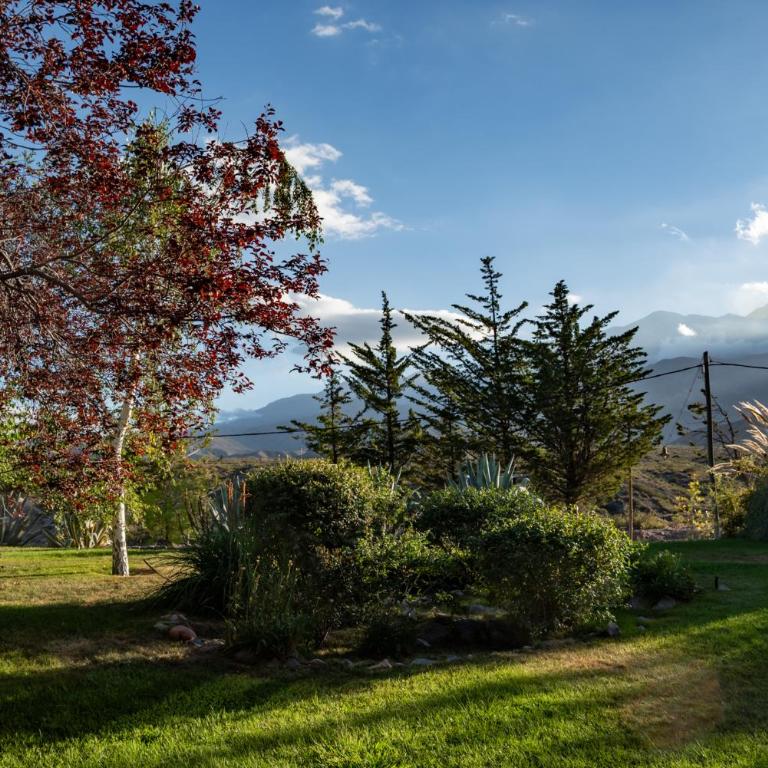 Acogedora cabaña de madera con vista a la montaña - Casa de 3 dormitorios - 37