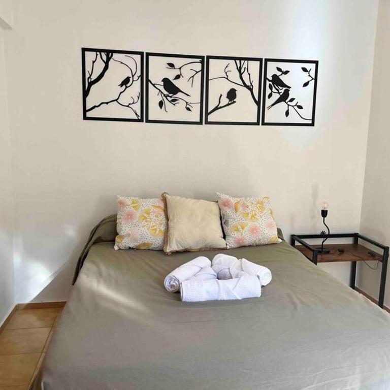 Ruta del vino Piscina, Parrilla, Bici - Apartamento de 1 dormitorio - 12