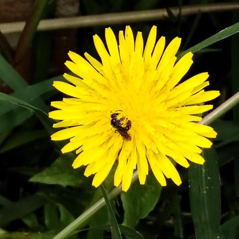 Cabaña El canto del Arriero - Bungalow Familiar - 6