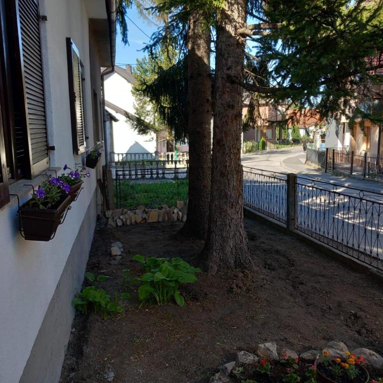 Apartman Mario - Apartman - 2