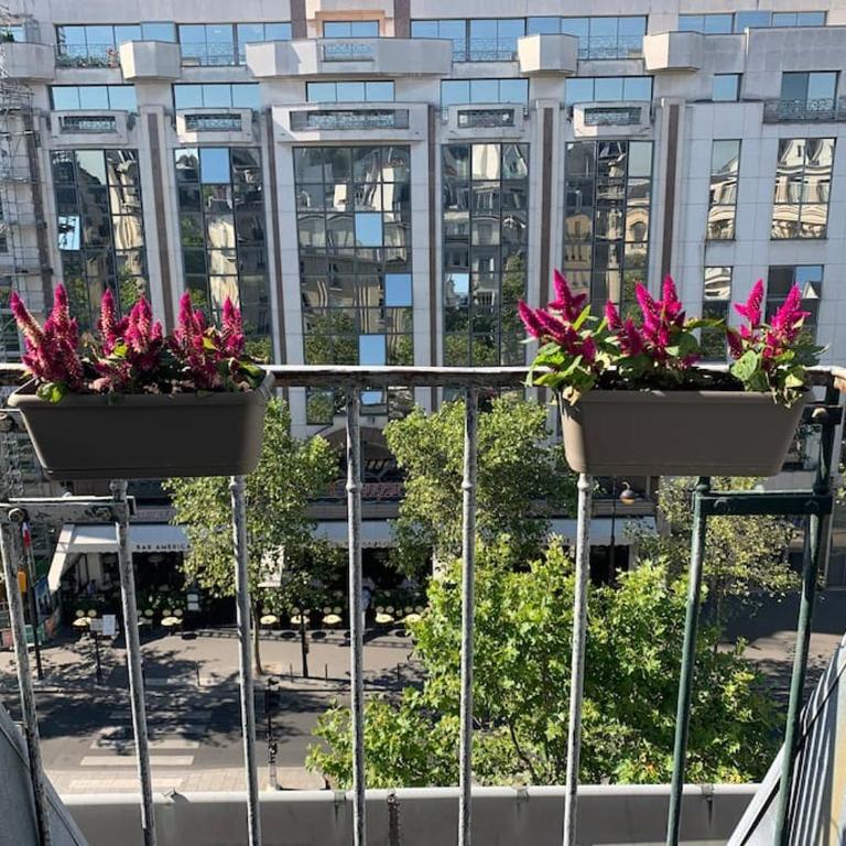 Cosy appartement lumineux Montparnasse - Appartement 1 Chambre - 21