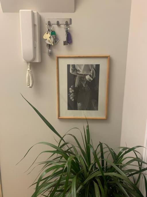 Cosy appartement lumineux Montparnasse - Appartement 1 Chambre - 15