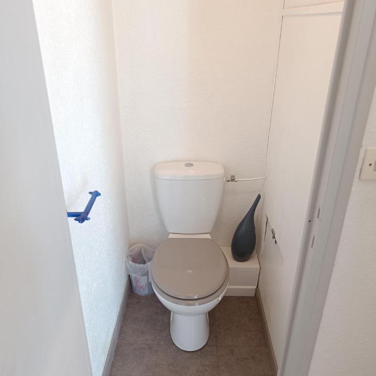 Appartement climatisé Parc Paradis 150 m des thermes - Appartamento con 1 Camera da Letto - 5