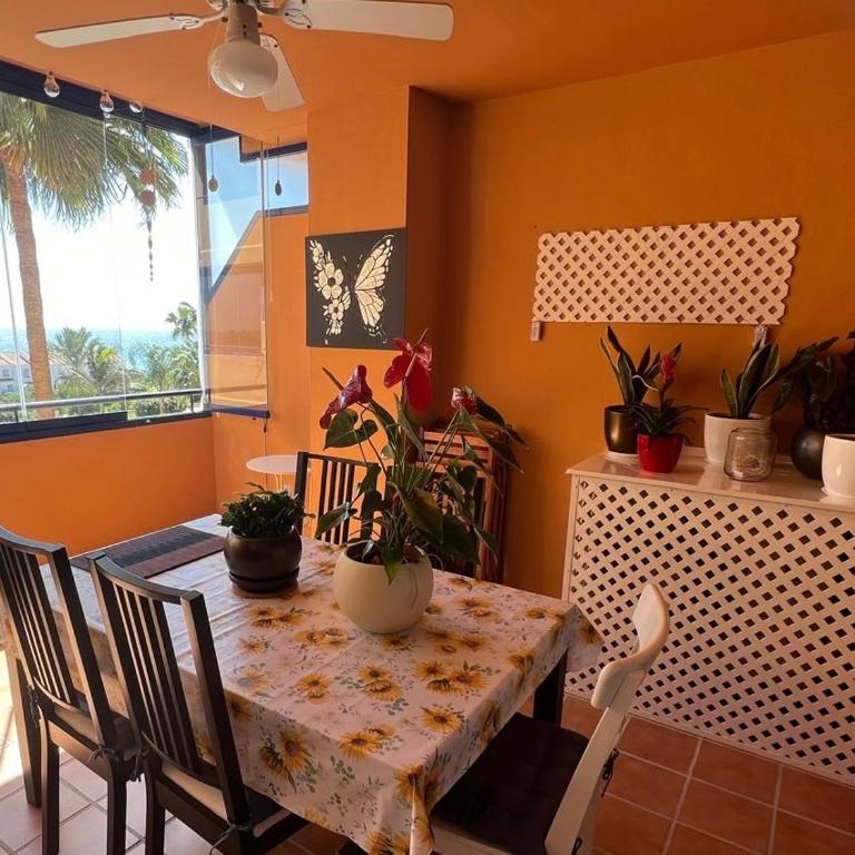 La Aldea - Apartamento de 2 dormitorios - 17
