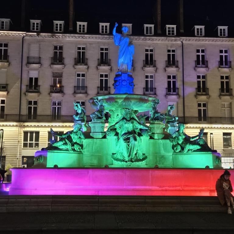 Terrasse Royale au Coeur de Nantes - Apartamento - 52