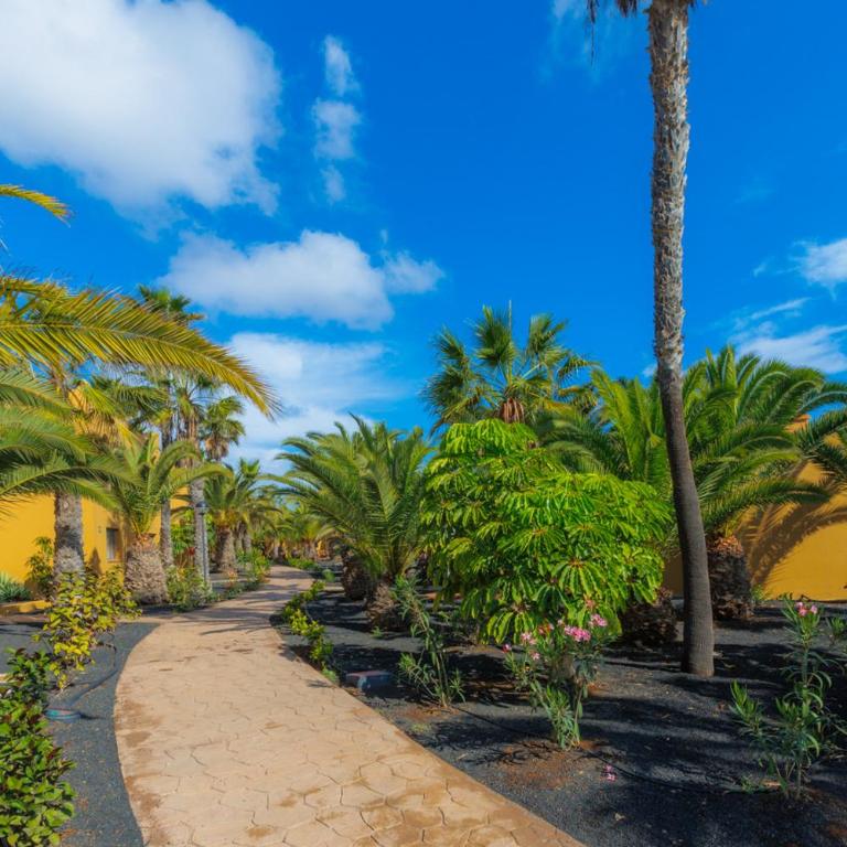 Casa Alisio Papagayo Corralejo iRent Fuerteventura - Apartamento con vistas a la piscina - 44