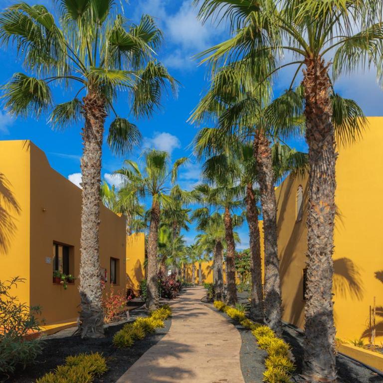Casa Alisio Papagayo Corralejo iRent Fuerteventura - Apartamento con vistas a la piscina - 45