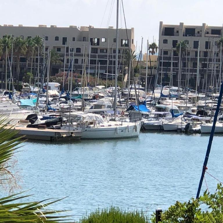 Petite Perle by Port Azur Rental - Appartement 2 Chambres - 20