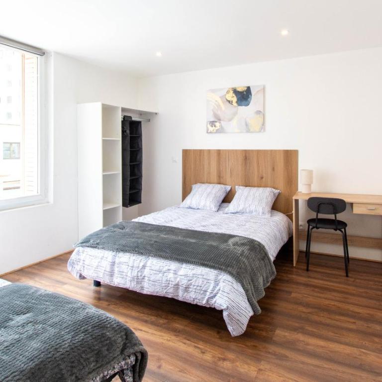 Appartement T3 gare de Chambéry centre ville - Two-Bedroom Apartment - 44