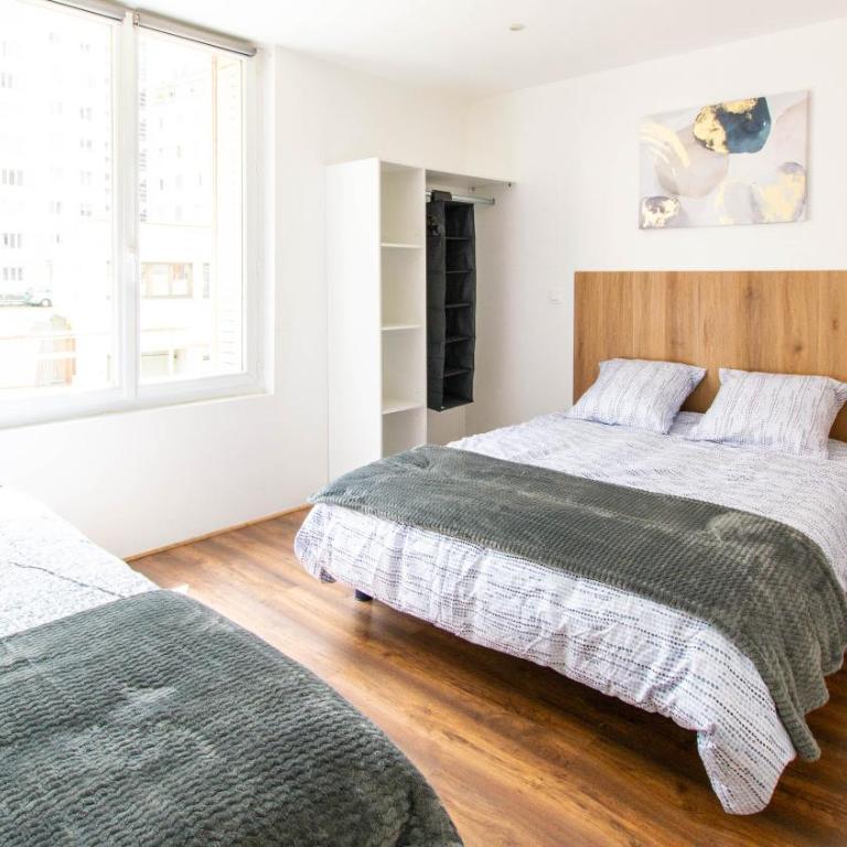 Appartement T3 gare de Chambéry centre ville - Two-Bedroom Apartment - 45