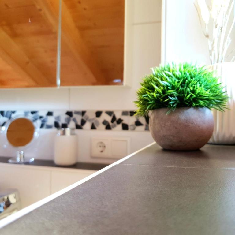 Ferienwohnung Gipfelpanorama - Appartamento con Balcone - 17
