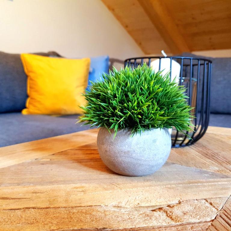 Ferienwohnung Gipfelpanorama - Appartamento con Balcone - 14
