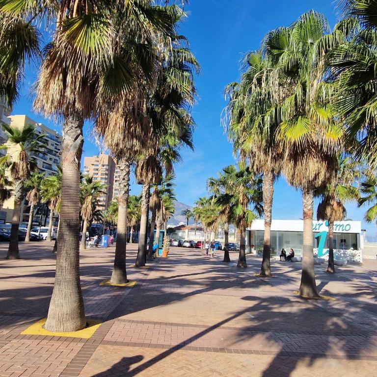 Moncayo - Apartamento de 2 dormitorios con balcón - 9