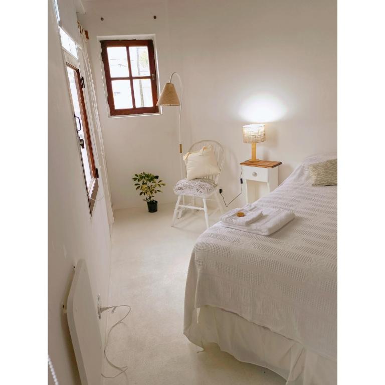 Ginkgo Hostel La Plata - Habitación Familiar con baño privado - 9