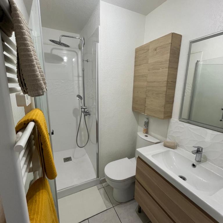 Joli T2/ Tram/ Clim/ Parking/ Wifi/ Piscine - Appartement 1 Chambre - 13
