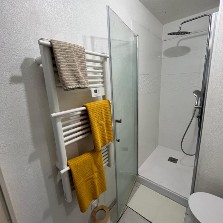 Joli T2/ Tram/ Clim/ Parking/ Wifi/ Piscine - Appartement 1 Chambre - 29
