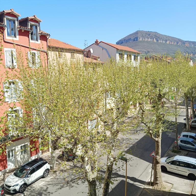 Cosy Studio - Heart of Millau - Appartement 1 Chambre - 20