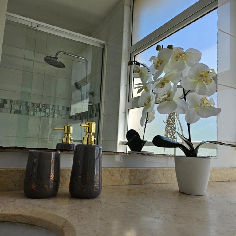 Coraceros Apartment - Apartamento - 26