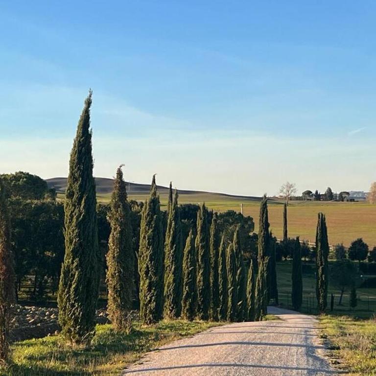 Casa delle More - Three-Bedroom Apartment - 13