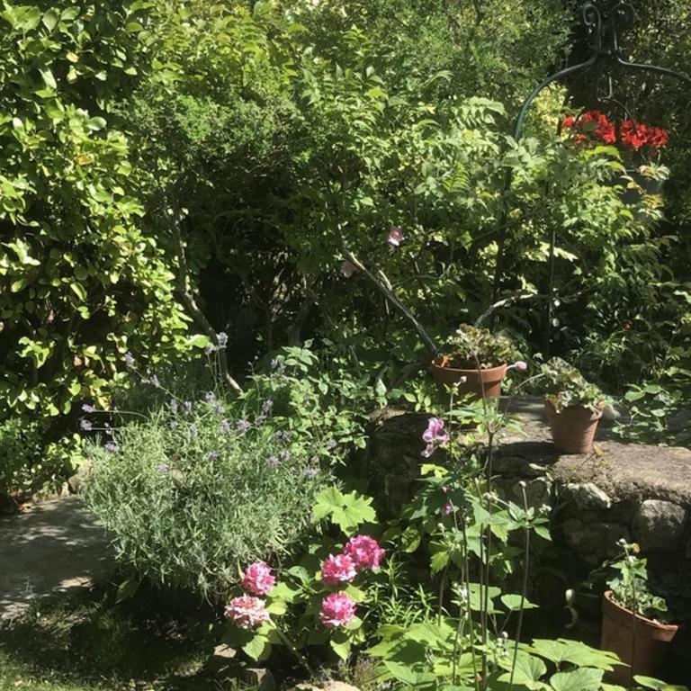Maison de charme avec jardin clos, à 50m des commerces et proche plage, pour 8 personnes - FR-1-639-54 - Maison de Vacances - 20