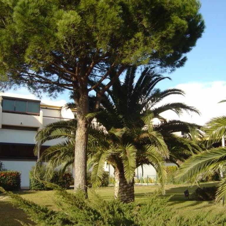 Appartement 2 pièces cabine avec jardin et parking, animaux admis - FR-1-307-257 - Apartment - 11