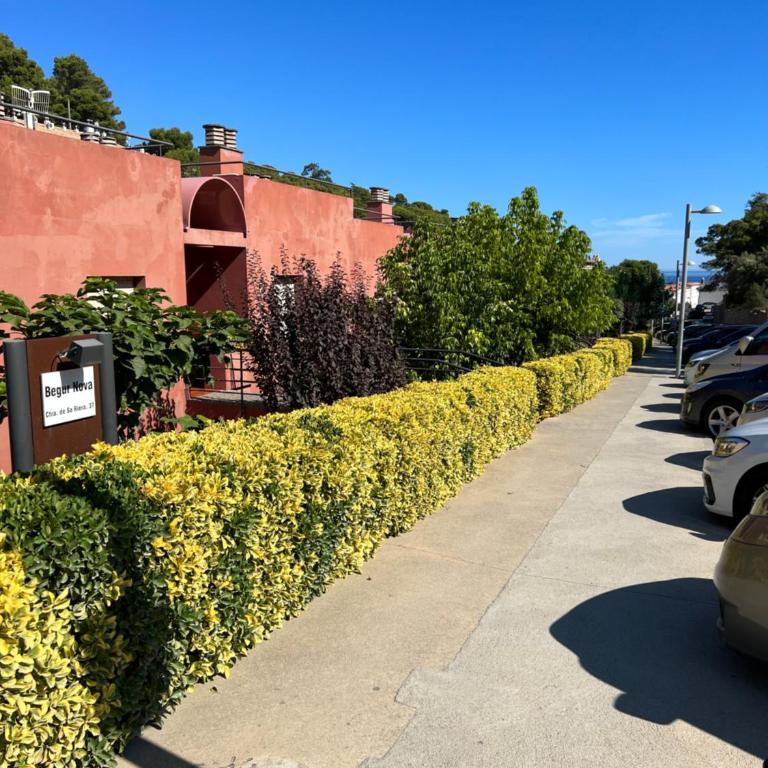 AP21-Sa Riera - Apartamento de 1 dormitorio - 19