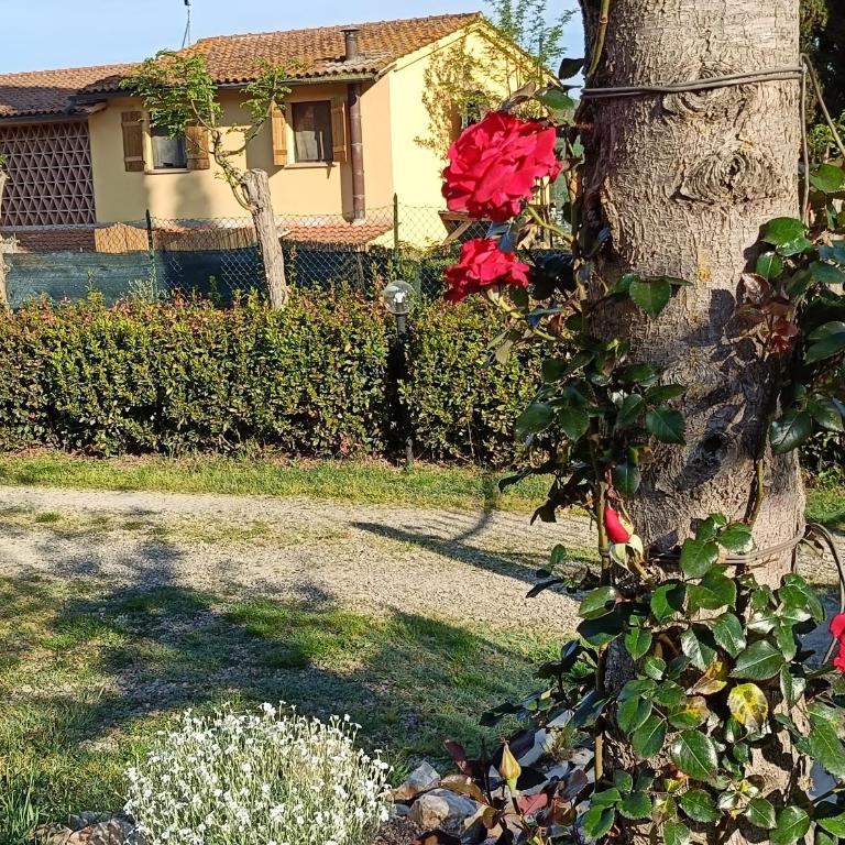 CASA ORNETO - Casa con 1 Camera da Letto - 2