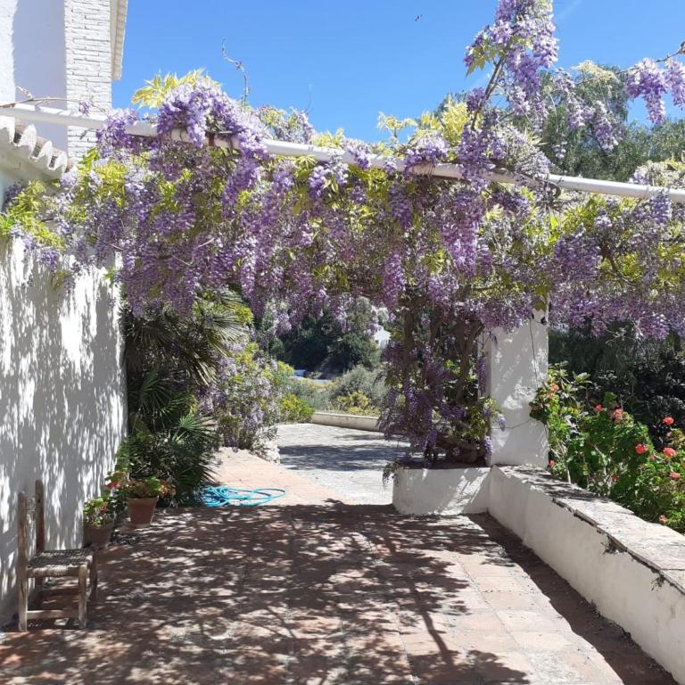 Cortijo Nerja Artist Paradise - Casa de 6 dormitorios - 45