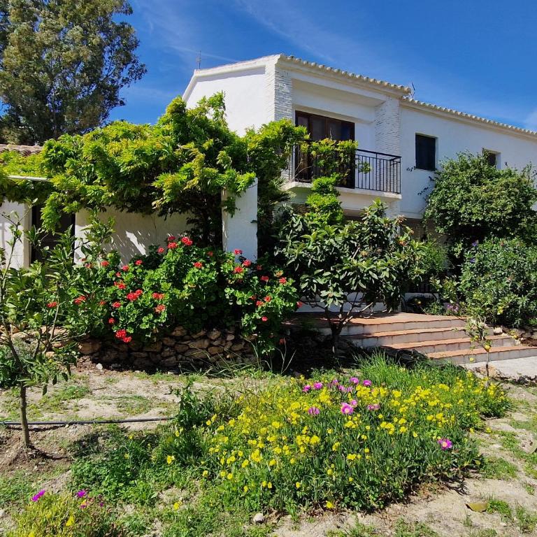 Cortijo Nerja Artist Paradise - Casa de 6 dormitorios - 63