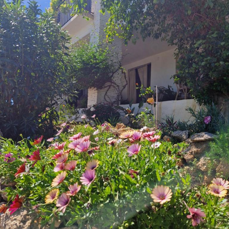 Cortijo Nerja Artist Paradise - Casa de 6 dormitorios - 65