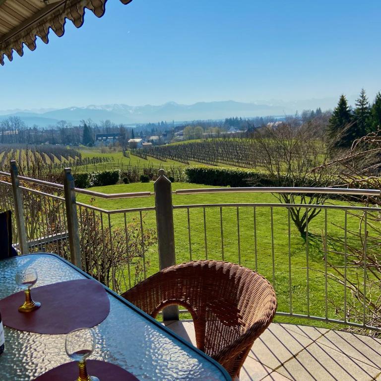 Ferienwohnung Weinberg-Idyll - Traumhafter Blick über Weinberge auf den Bodensee - Appartamento con Vista Lago - 2