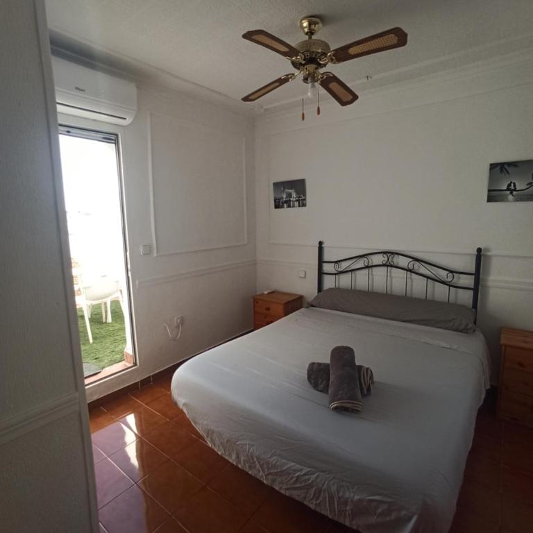 Casa Alkabir Campello - Apartamento de 3 dormitorios - 24