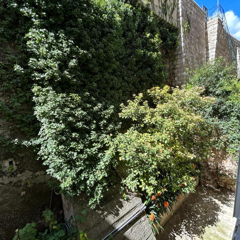 Palais de France Classic Charm - Appartement 1 Chambre - 18