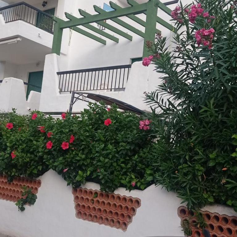 Atico Duplex con magnificas vistas - Apartment with Sea View - 19