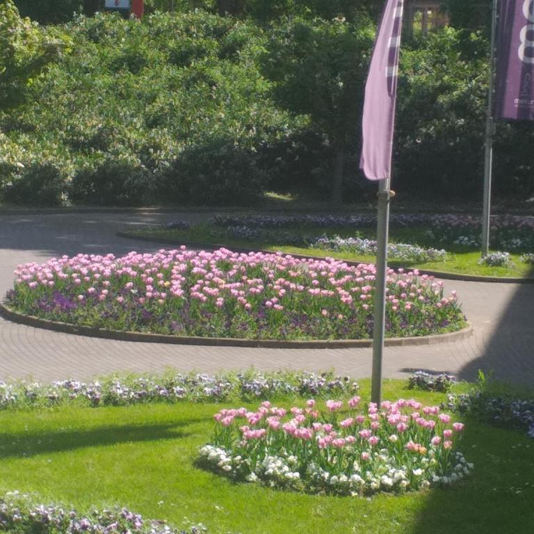 studio-apartman ,,ISSA,, - Apartman sa 1 Spavaćom Sobom - 33