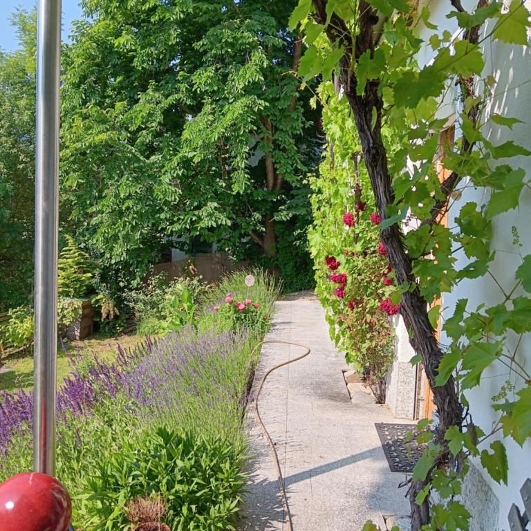 Studio Ualysses - Apartment - 23