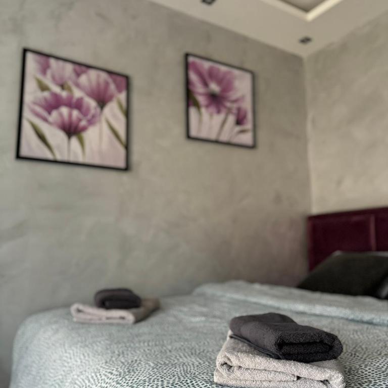 Apartmani Mandić Divčibare - Apartman sa 1 Spavaćom Sobom - 15