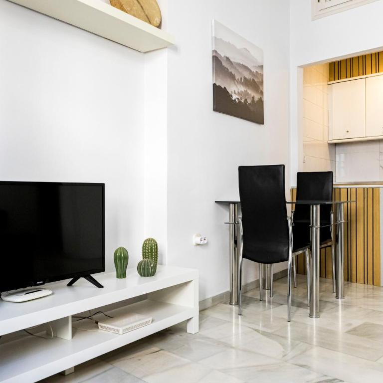 Suites Picasso Málaga - Apartamento con terraza - 6