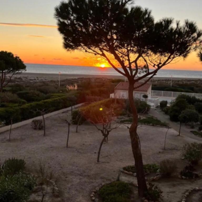Appartement vue mer et plage avec piscine - Appartement 1 Chambre - 11