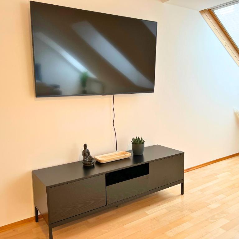 Leoben City Apartments - Premium Apartments 24 7 - Suite con Terrazza - 8