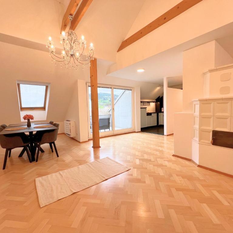 Leoben City Apartments - Premium Apartments 24 7 - Monolocale con Terrazza - 20