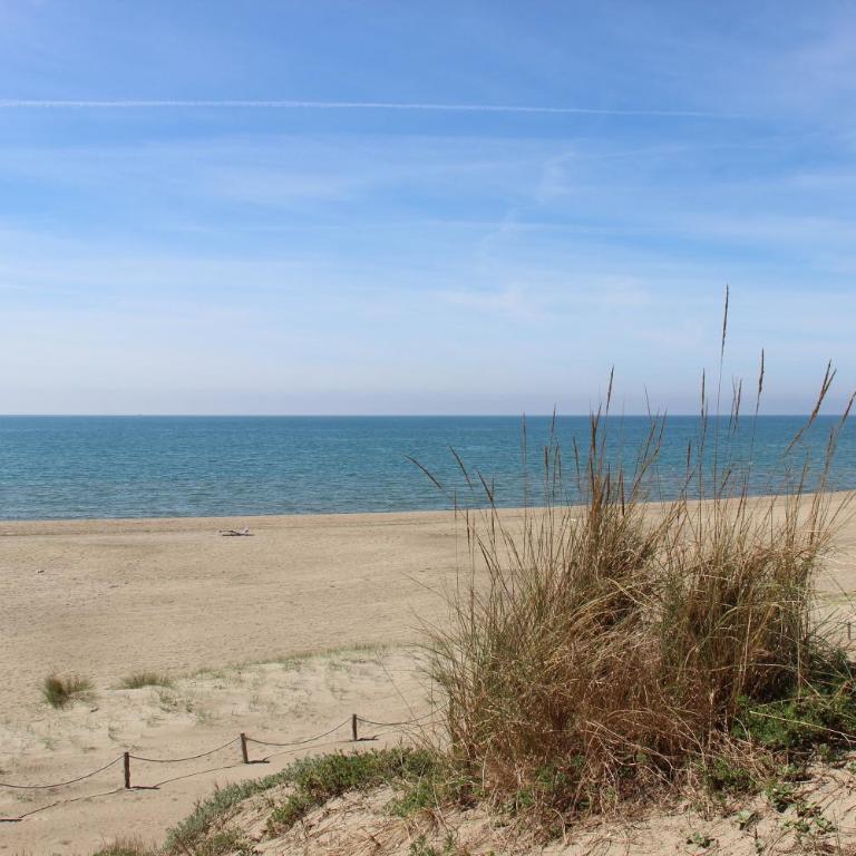 Appartamento Via dei Fabbri Navali - Two-Bedroom Apartment - 41