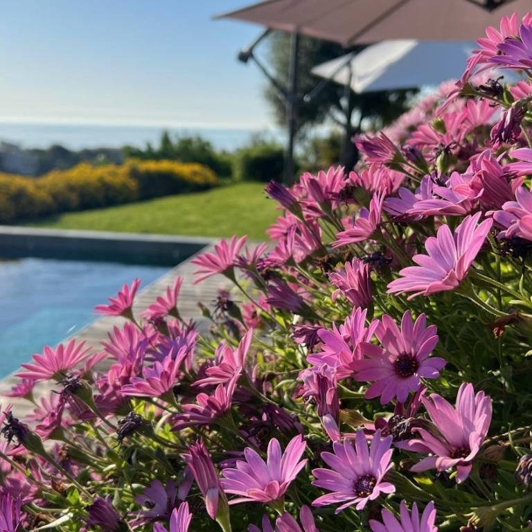 La Coulina - Villa - Vue sur Mer - 17
